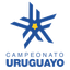 VĐQG Uruguay - 2025