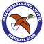 Ballinamallard United