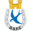 Dungannon Swifts