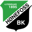 Hønefoss