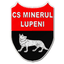 Minerul Lupeni