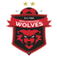 Wollongong Wolves